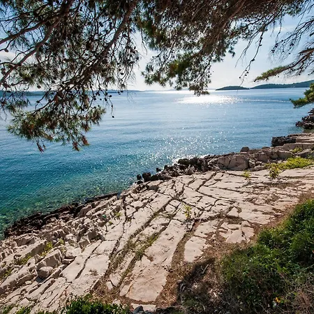 Lavanda 3* Božava