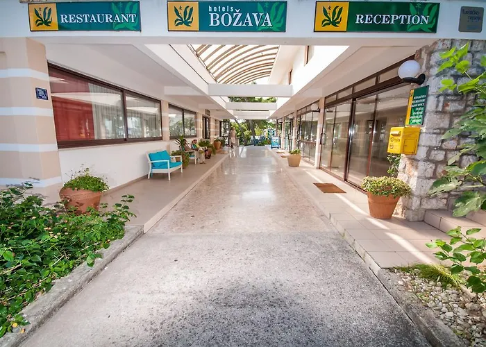 Lavanda Božava