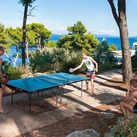 Lavanda Божава