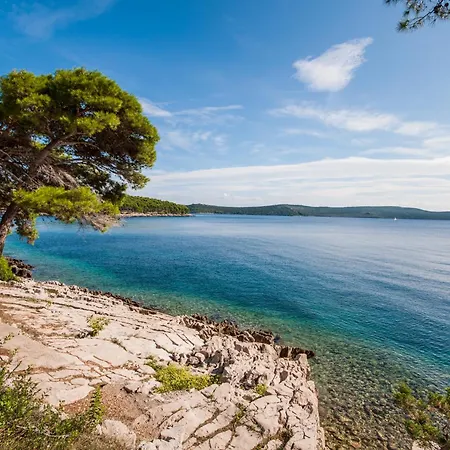 酒店 拉凡达酒店 3*